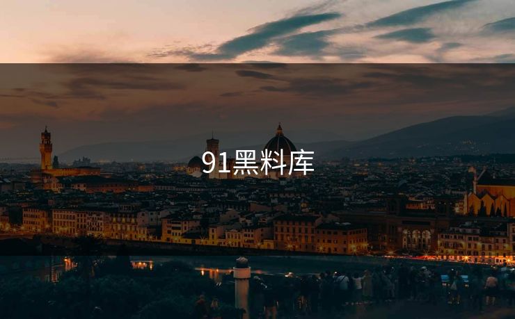 91黑料库