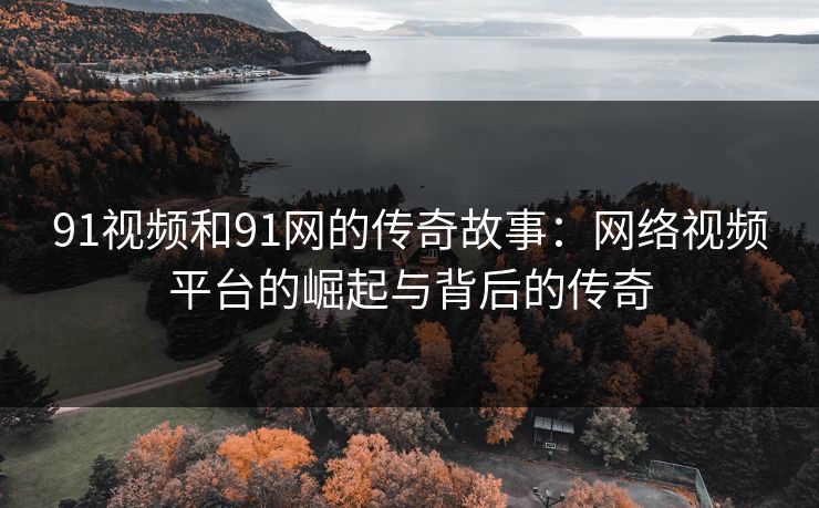 91视频和91网的传奇故事：网络视频平台的崛起与背后的传奇