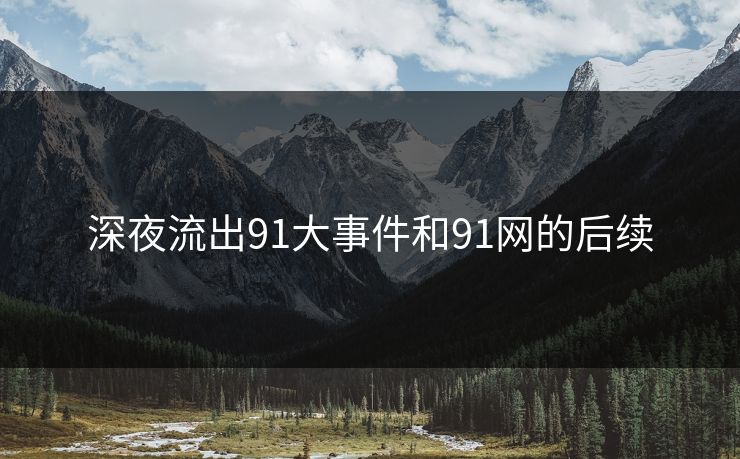 深夜流出91大事件和91网的后续