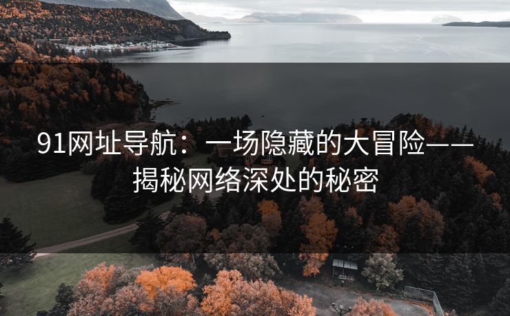 91网址导航：一场隐藏的大冒险——揭秘网络深处的秘密