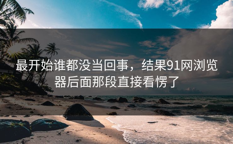最开始谁都没当回事，结果91网浏览器后面那段直接看愣了
