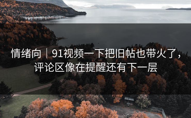 情绪向｜91视频一下把旧帖也带火了，评论区像在提醒还有下一层