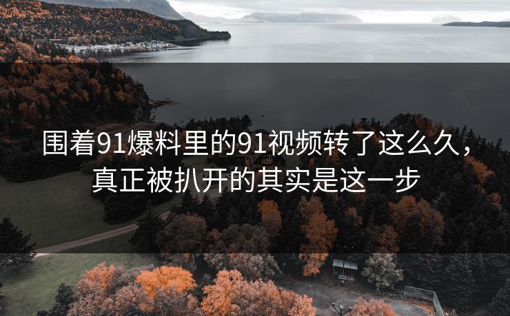 围着91爆料里的91视频转了这么久，真正被扒开的其实是这一步