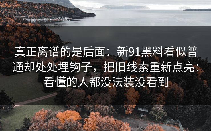 真正离谱的是后面：新91黑料看似普通却处处埋钩子，把旧线索重新点亮：看懂的人都没法装没看到