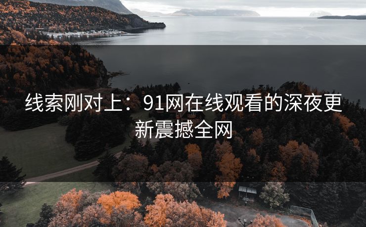 线索刚对上：91网在线观看的深夜更新震撼全网
