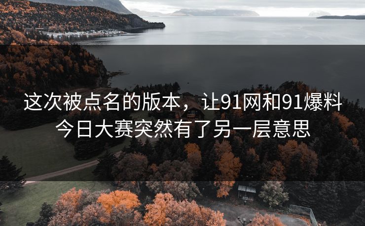 这次被点名的版本，让91网和91爆料今日大赛突然有了另一层意思