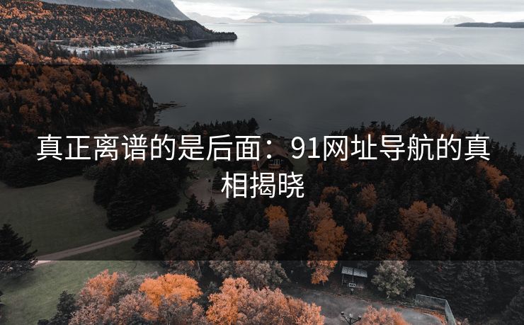 真正离谱的是后面：91网址导航的真相揭晓