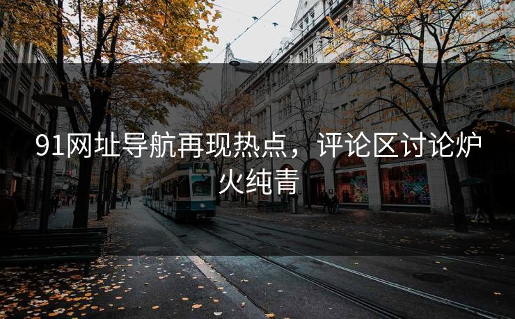 91网址导航再现热点，评论区讨论炉火纯青
