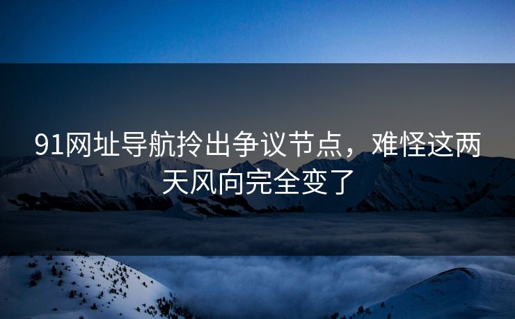 91网址导航拎出争议节点，难怪这两天风向完全变了