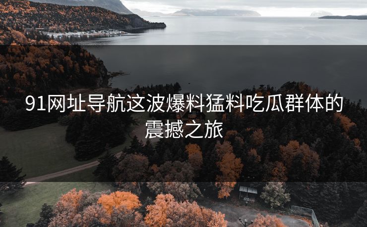 91网址导航这波爆料猛料吃瓜群体的震撼之旅